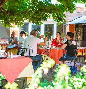 Le colvert Le colvert