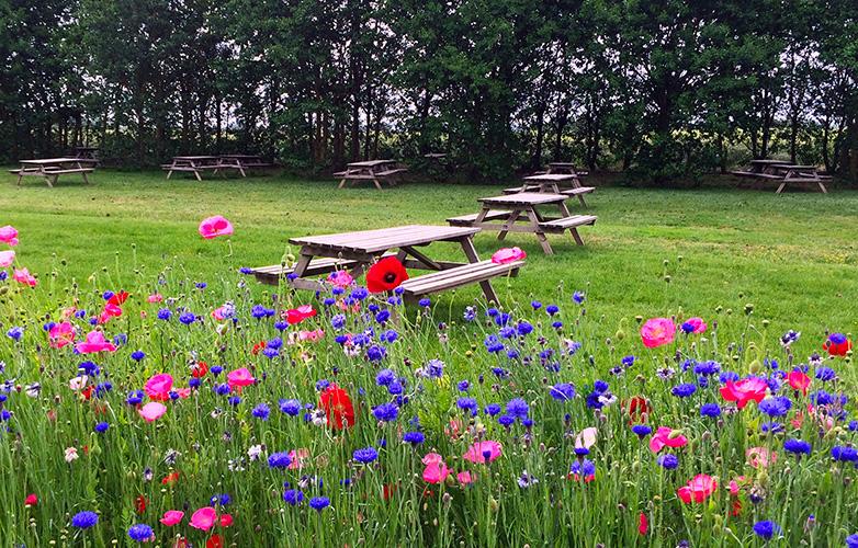 Aire de pique-nique Aire de pique-nique